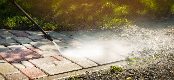 Best Animal Enclosure Cleaning  in Washington Mills, NY